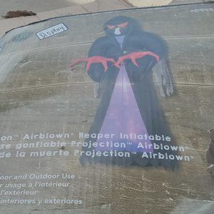 16 ft projection airblown  inflatable